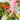 Anti-inflammatory foods: trend or science?